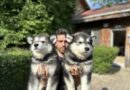 Eşsiz Bağlılığın ve Sınırsız Enerjinin Adı: Alaskan Malamute!